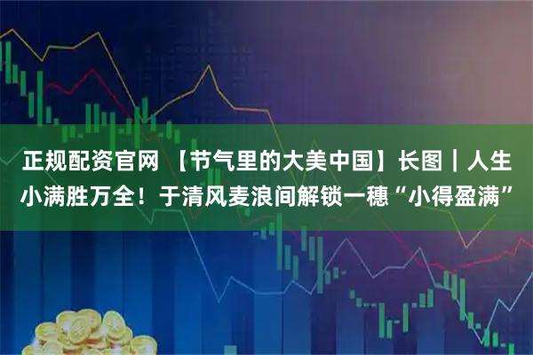 正规配资官网 【节气里的大美中国】长图｜人生小满胜万全！于清风麦浪间解锁一穗“小得盈满”